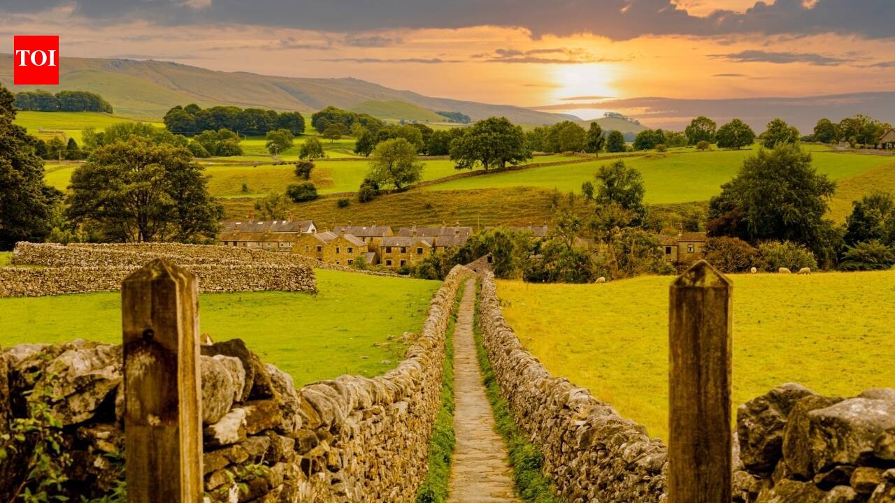 How farmers are helping reverse farmland wildlife decline