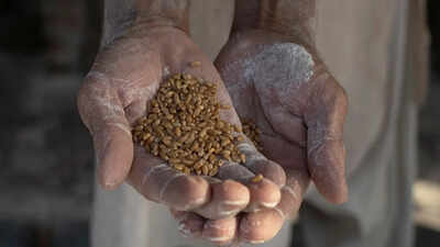 India unlikely to face major food, fertiliser crisis despite global headwinds: Finance Commission chairman
