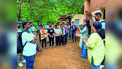 A forest through the eyes of the deaf