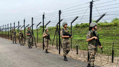 India summons Pak envoy over 'cross-border infiltration', rejects Ferozepur claims