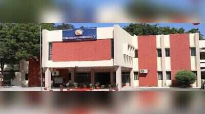Children’s Research University to host under-12 chess festival on Sunday