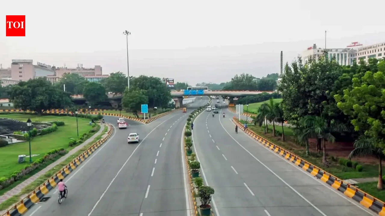 Road injuries 10th leading cause for deaths in India: WHO report
