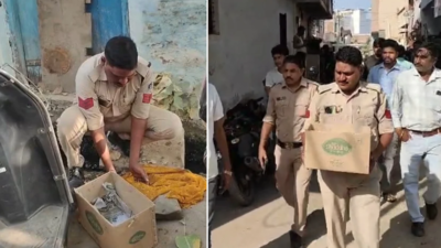 Stray dog digs foetus buried in pit near drain, carries it through colony