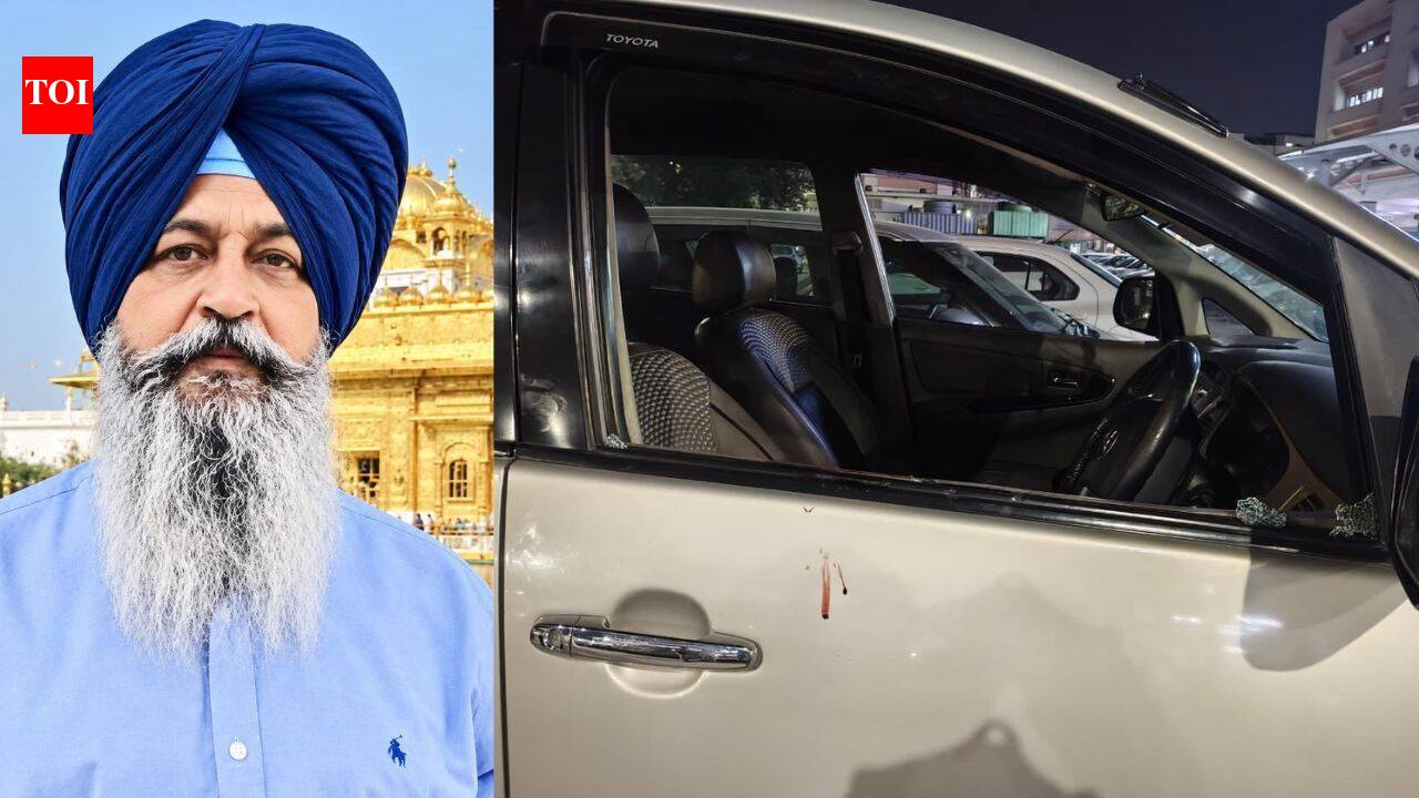 'Hit by nearly 10 bullets': Former sarpanch shot dead by masked bikers in Ludhiana