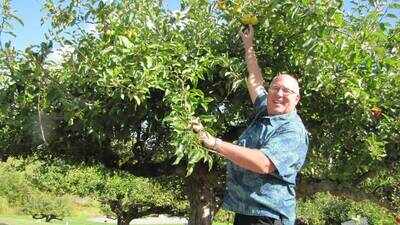In 2012, a retired FBI agent began searching for ‘lost’ apples; more than a decade later, his mission has helped rediscover 30 forgotten varieties across the Pacific Northwest