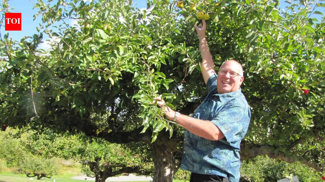 Retired FBI agent’s decade-long mission to rediscover 30 ‘lost’ apple varieties