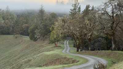 In 1914, a California family bought what became the 6,625-acre Kinsey Ranch; 112 years later, after one brother pushed to protect it before his death, the entire working cattle ranch is now permanently protected from development