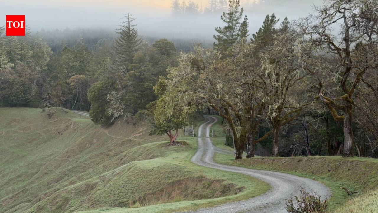 California family’s 6,625-acre ranch is now protected forever