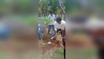 Green action continues to take root in Bengaluru’s parks