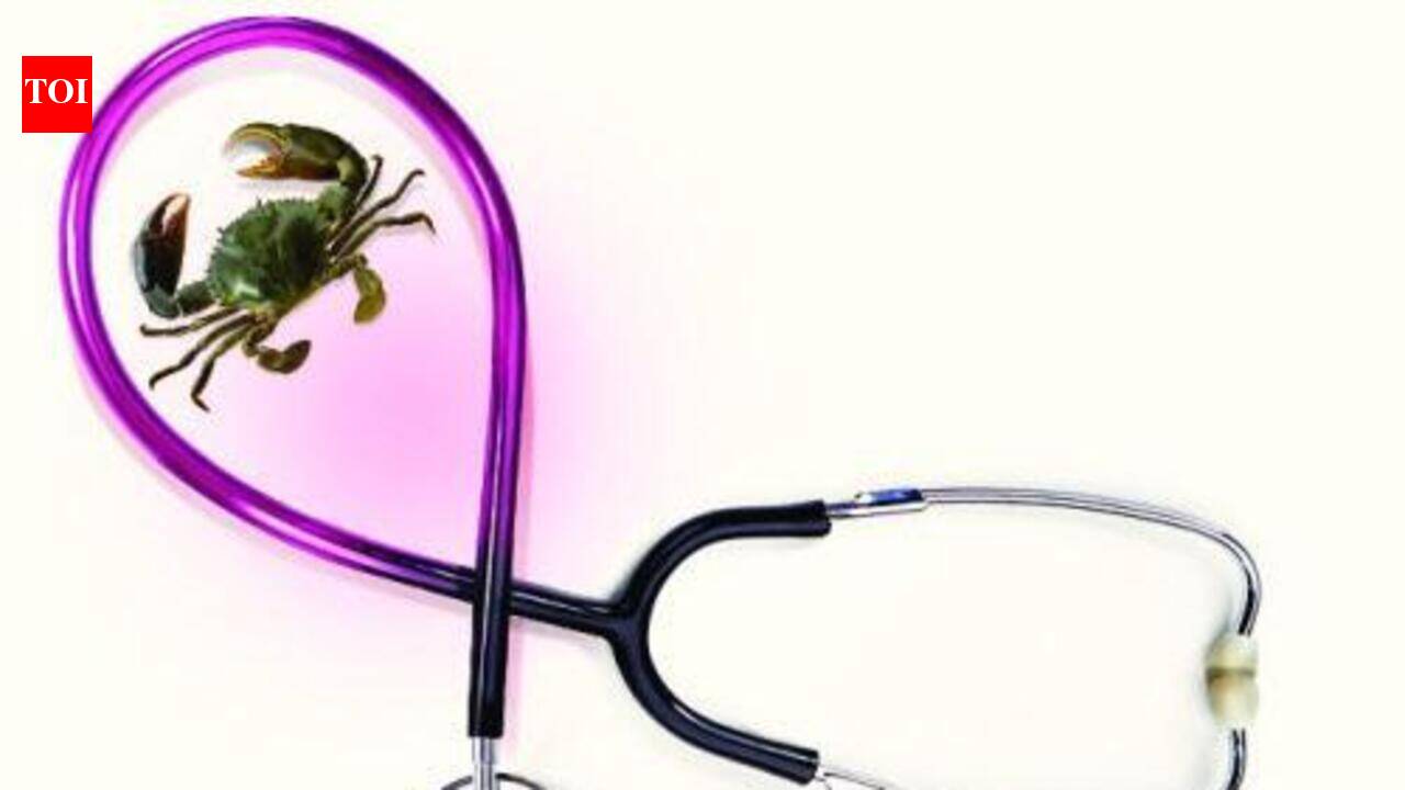 Experts explore global collaborations to strengthen state’s cancer care