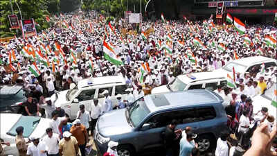 Mumbai Police registers FIR against organisers of Thackerays' anti-SIR march