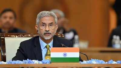 'Little bit more involved': Jaishankar says India has 'gone beyond advocacy' to end Russia-Ukraine war