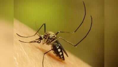 BJP MLA, min spar over dengue spread