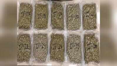 Customs seizes 15kg of hydroponic ganja at airport