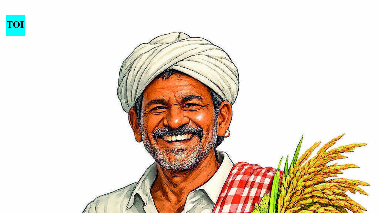 Crops at MSP: Farmers can register till Oct 24