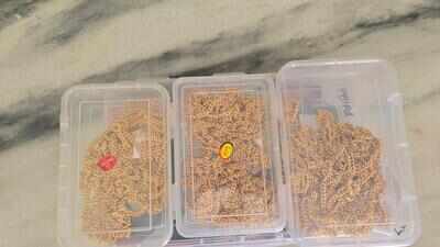 Dramatic end to ₹4cr gold heist: Cop dragged 500m, 4 held in hours