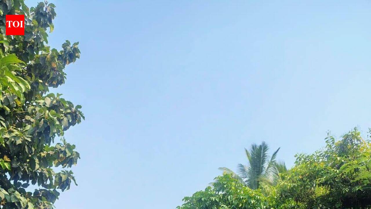 Tourist rush chokes Calangute roads on long weekend