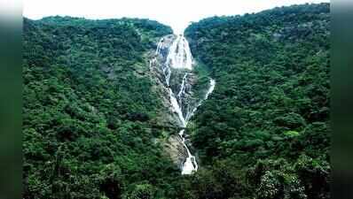 Dudhsagar opens for tourists, vehicle operators too directed to deploy personnel for visitor safety