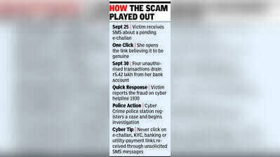 Fake e-challan link costs Panchkula tutor Rs 5.4 lakh