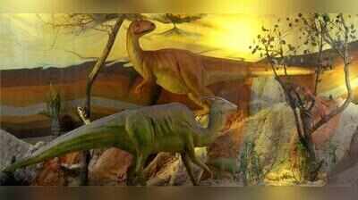 Holograms & 7D shows: Natural History Museum in Chandigarh set for high-tech makeover