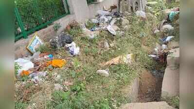 Roads not swept, Gurgaon Sector 57 RWA goes to rights panel, seeks action over civic lapses