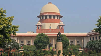 'Look Out Circular' against parents of man who secretly took away child to US
