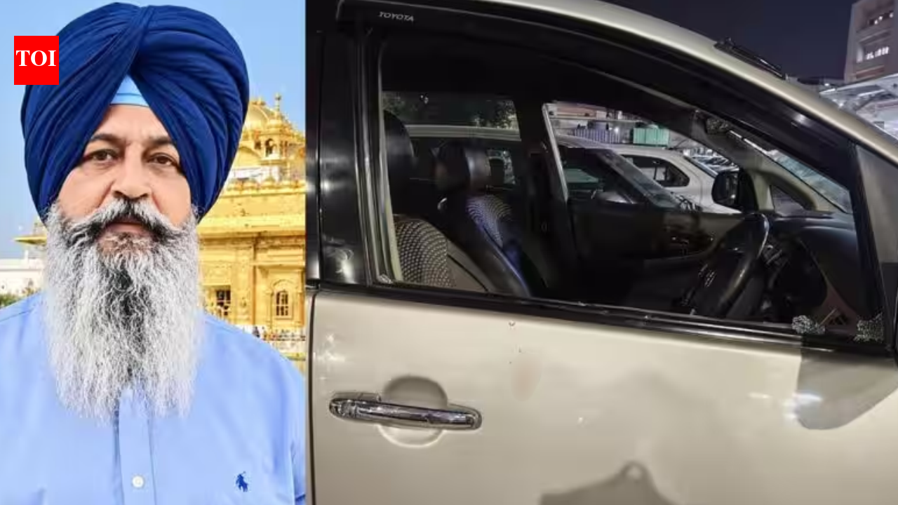 Punjab former sarpanch shot '10-odd rounds' on dashcam; land dispute?