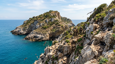 In 2007, black rats were eradicated from Italy’s Zannone island; by 2016, Scopoli’s shearwater breeding pairs had risen from 27 to 80