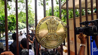 2020 Delhi riots: Delhi HC dismisses pleas seeking FIRs against political leaders over 'hate speeches'