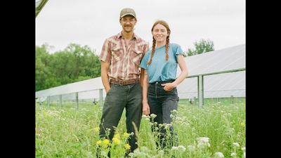 Two young Minnesota farmers started grazing sheep under solar panels in 2017; their flock has now grazed more than 6,500 acres of solar farms