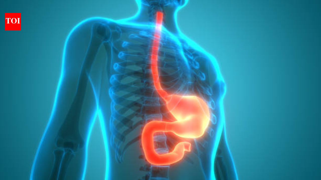 GI cancers could nearly double by 2050: Doctors flag rising cases, late detection and new cancer risks at World Congress of Gastroenterology (WCOG) 2026