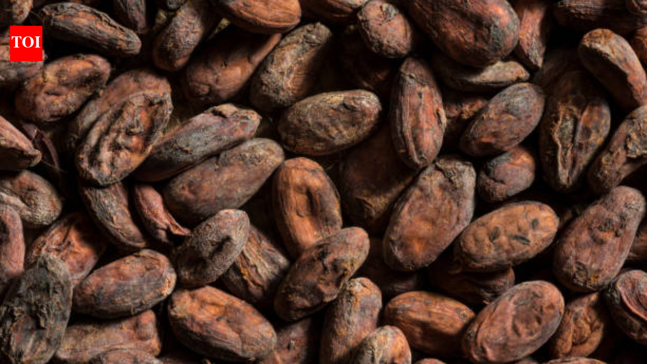 Chocolate reached east of Mississippi 1,000 years ago; ancient pottery reveals cacao at feasts