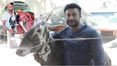 Inside Darshan Thoogudeepa’s Mysuru farmhouse and farm life: ‘The Devil’ star raises HORSES and RARE CATTLE