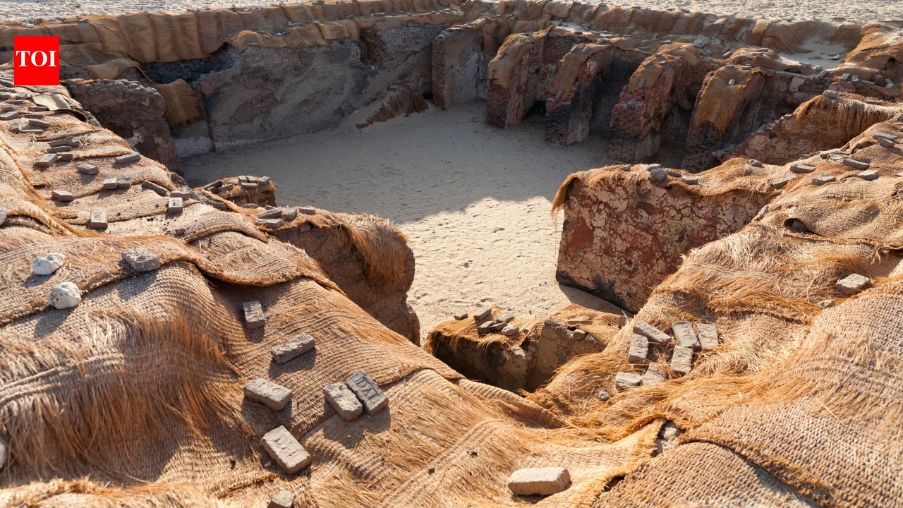 Egypt’s early kings were buried with servants; skulls revive sacrifice theory