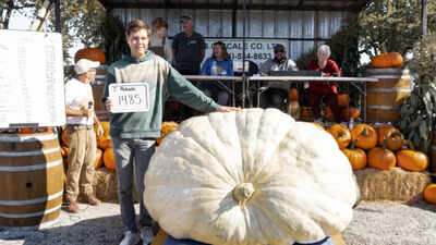 Kelowna grower Jordan Abbate’s giant pumpkin weighed 1,485 pounds at British Columbia’s 2026 contest, beating the 1,484-pound runner-up by just 1 pound after six months of daily care