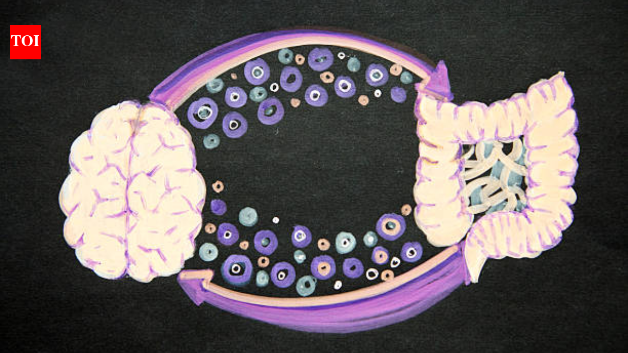 Your gut bacteria may reveal how quickly your brain is ageing; it effects memory, focus and mood