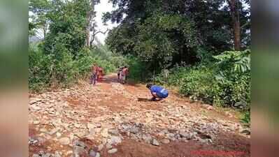 Poor internal roads likely to delay Similipal reopening