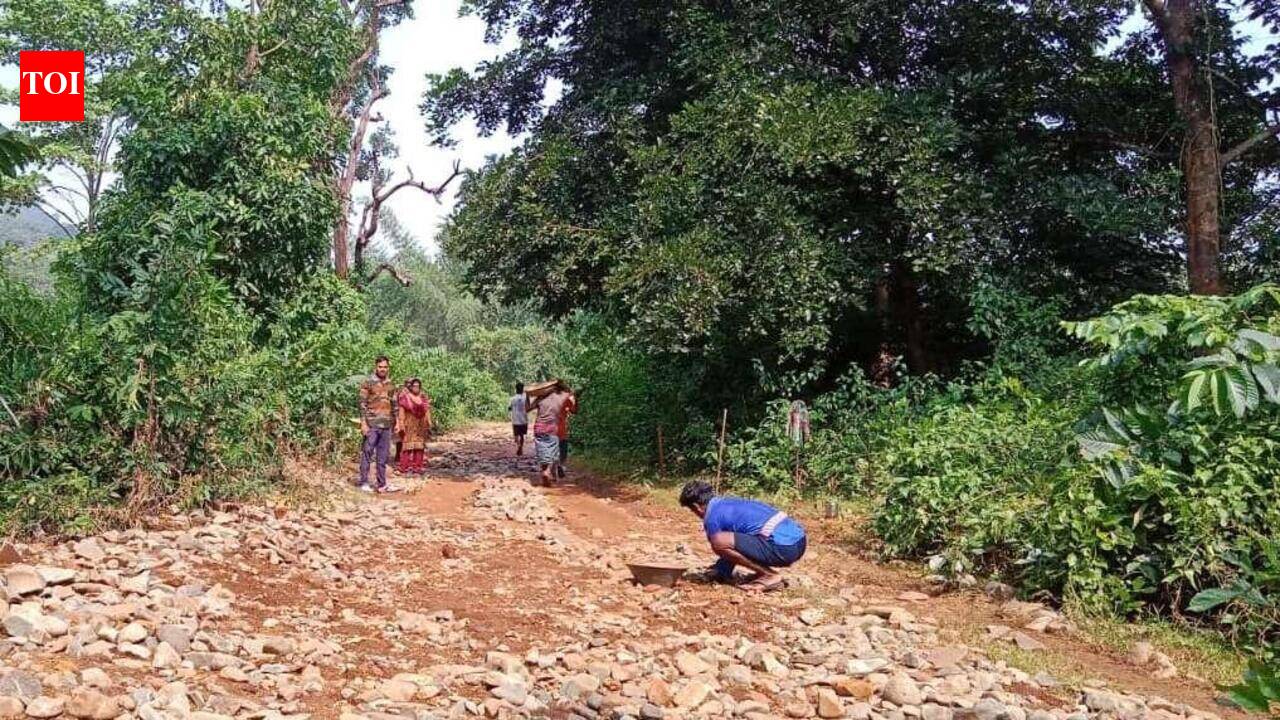 Poor internal roads likely to delay Similipal reopening