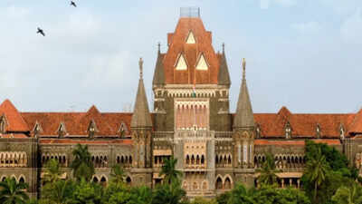 'What's the purpose of SIR if citizens are removed?' Bombay high court's Goa bench raps EC