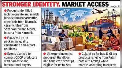 Gujarat eyes GI tags for more items under ODOP push
