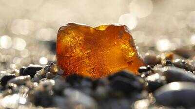 Elderly woman used 7.7-pound amber nugget as doorstop for decades, unaware it was up to 70 million years old and worth €1 million; burglars stole gold but overlooked Romania’s rare ‘rumanite’ treasure
