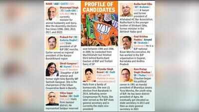 BJP 8 RS picks reflect caste balance, organisational heft