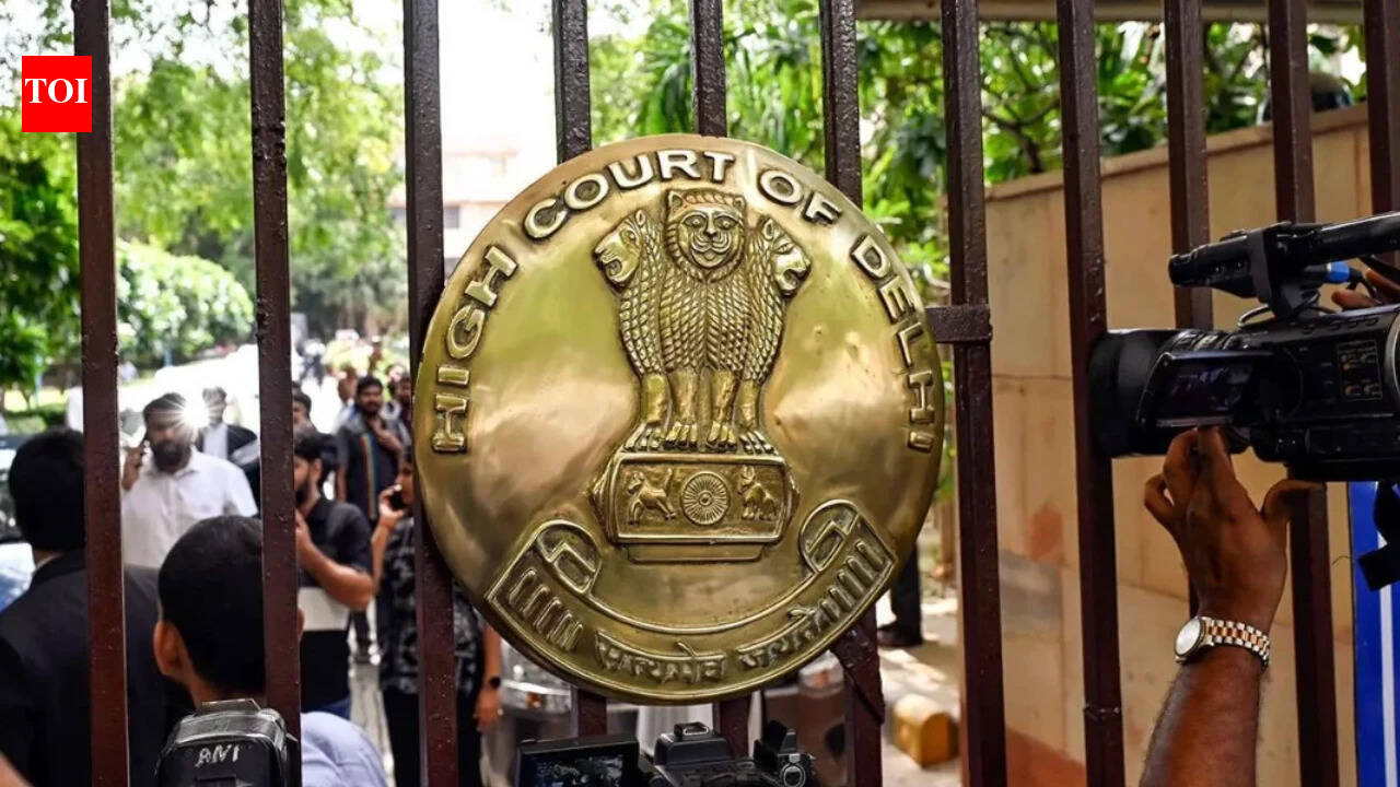 Visa doesn't create absolute right to enter India, says Delhi High Court