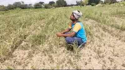 El Nino impact: 10% water cut in Maharashtra from Oct 16