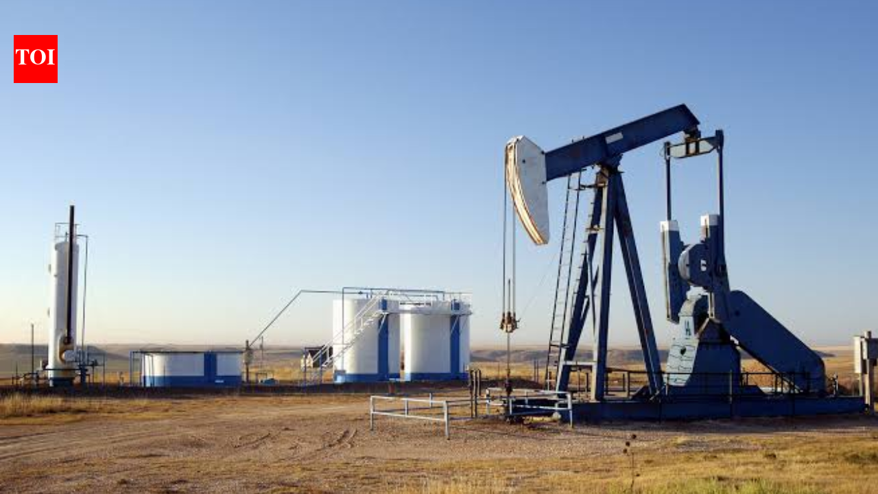 Dierlam V. Allegiant Resources: Texas court backs plug-well access; ranch rights dispute deepens