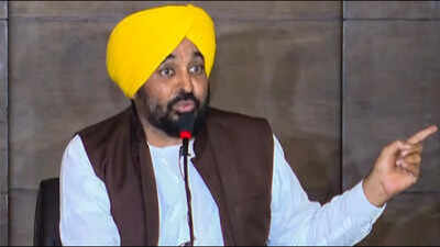 Case against Bhagwant Mann's OSD: Punjab govt to move SC against HC order for CBI probe into ED's graft allegations