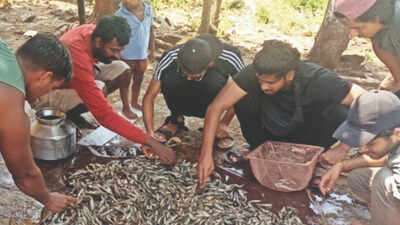 Mumbai's Kalu river throws up hundreds of dead fish, activist blames Ulhasnagar effluent surge