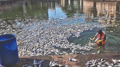 Banganga fish deaths: BMC plans 10 artificial ponds, more oxygenation pumps ahead of Pitru Paksha