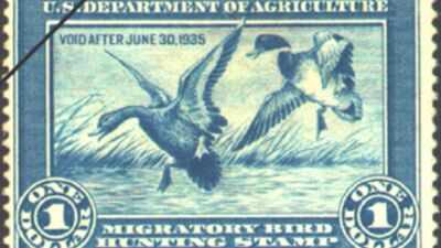 In 1934, America created a $1 conservation stamp for duck hunters; it has since helped protect more than 6 million acres of wetlands