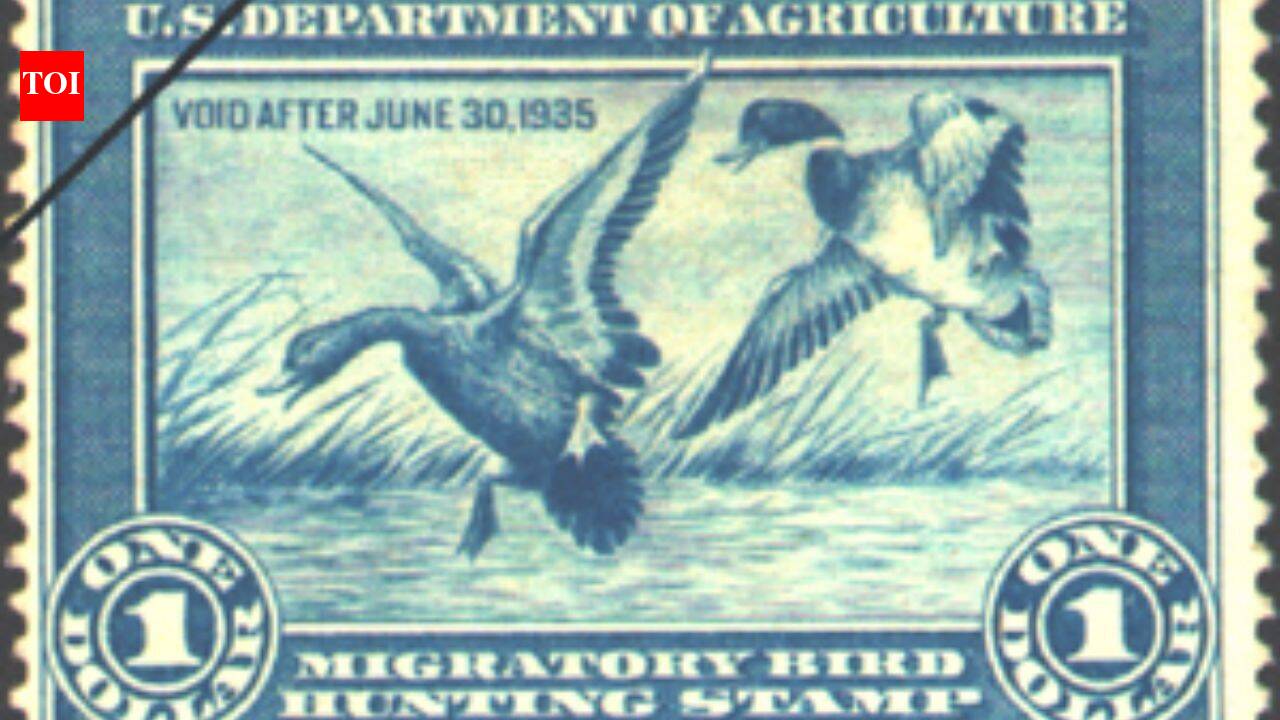 In 1934, America created a $1 duck stamp; it has protected 6 million acres